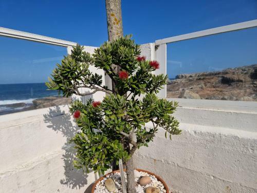 Casa Mar Da Laxe