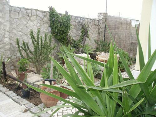 Ocean View Hostel