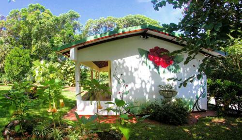 Hotel La Rosa De America