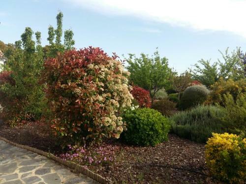 Villa Beautiful Cortijo With Pool Near Ronda