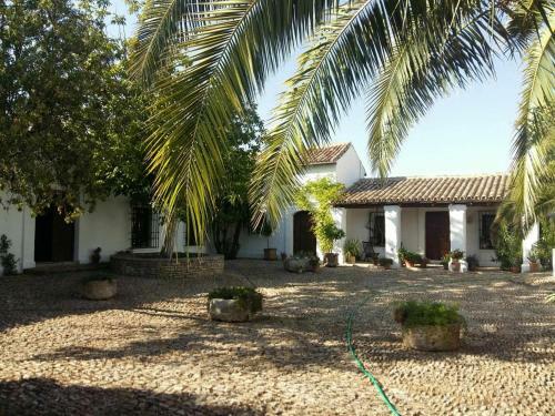 Villa Beautiful Cortijo With Pool Near Ronda