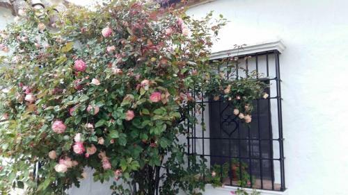 Villa Beautiful Cortijo With Pool Near Ronda
