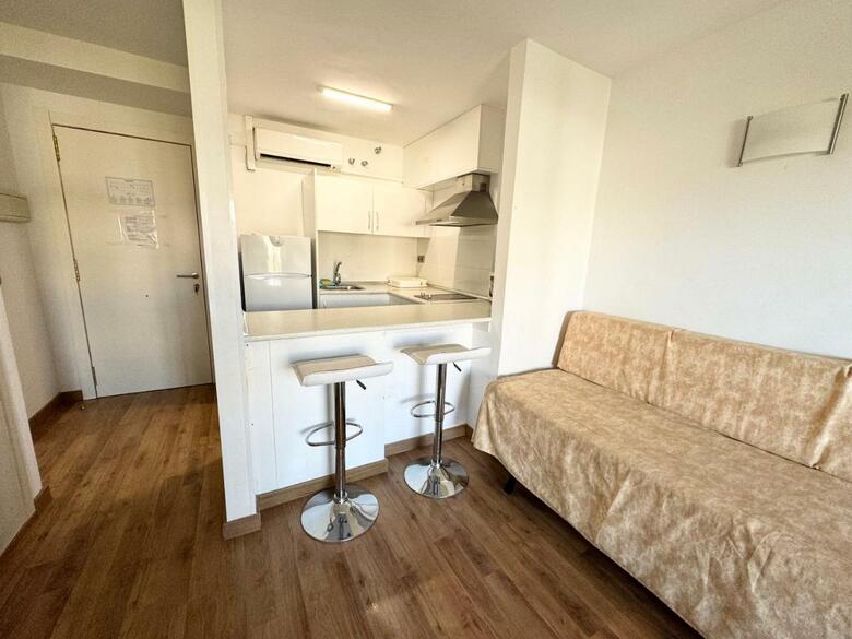 Apartsalou Michelangelo