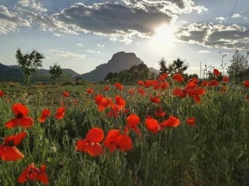 Apartamento Casa Rural Ri�par, Luxury In Nature