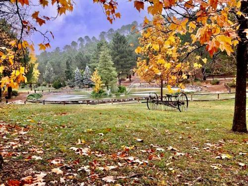 Apartamento Casa Rural Ri�par, Luxury In Nature