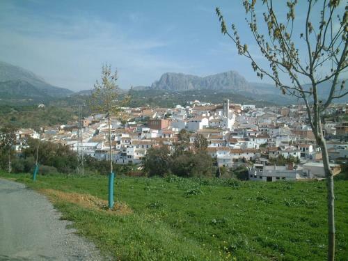 Villa La Molina Del Olivar - Peaceful Location