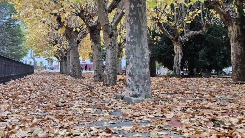 Apartamento Calamina