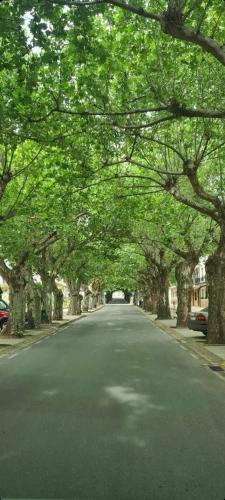 Apartamento Calamina