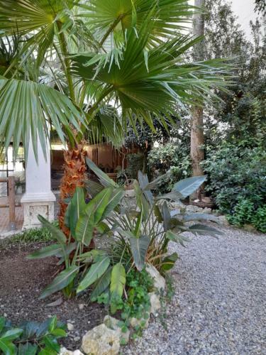 Apartamento Royal Marine Playa Calme Et Cosy