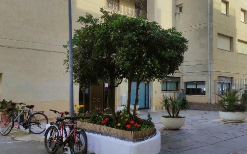 Apartamento Castell Mar
