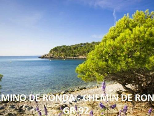 Apartamento Roses, 2 Dormitorios, 4 Personas - Es-258-128