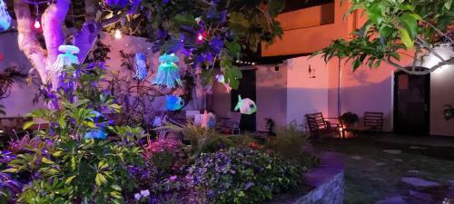 Hostel Namor