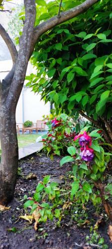 Hostel Namor