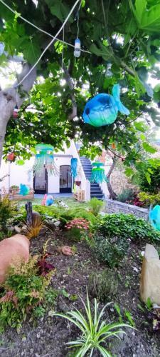 Hostel Namor