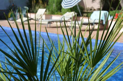 Villa Casa Vi�as De Vera