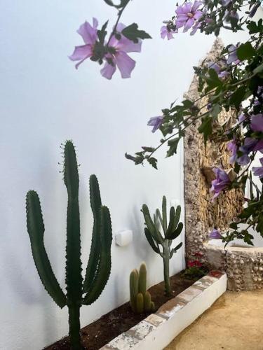 Espectacular Casa_isma