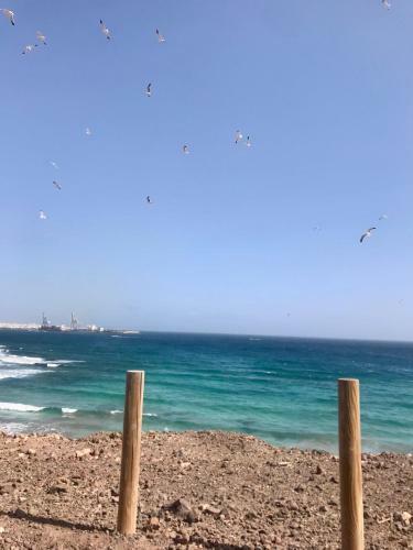 Hotel Fuerteventura Beach Vacations