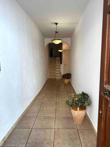 Apartamento A Do Caseiro