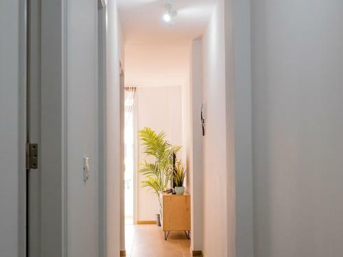 Apartamento Live Puertito Respira