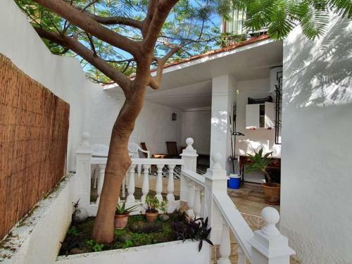 Apartamento Luminoso Con Patio Y Jard�n