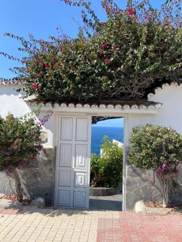 Villa Oasis La Paz - Bencomo Apartment - Adults Only