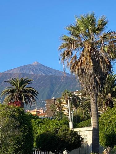 Villa Oasis La Paz - Bencomo Apartment - Adults Only