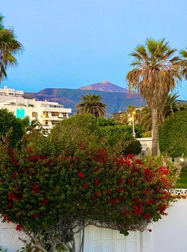 Villa Oasis La Paz - Bencomo Apartment - Adults Only