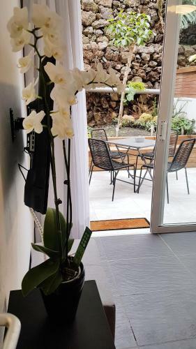 Apartamento N&c Suites Puerto de La Cruz