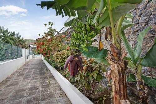 Apartamento Paradise Studio Bel Air