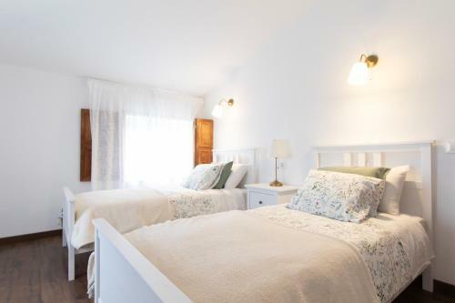 Agroturismo Cami�o Ancho Casa Rural