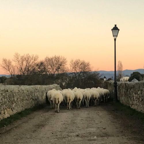 Casa Rural El Gorgocil