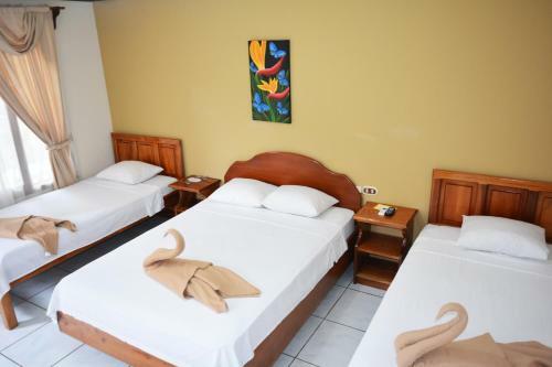 Hostel Backpackers La Fortuna