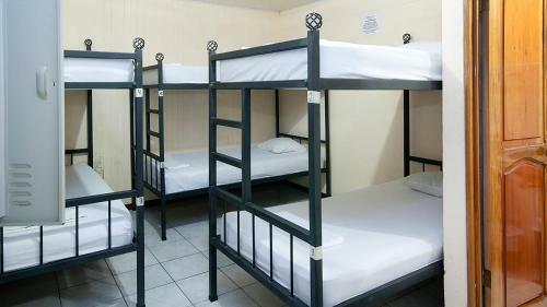 Hostel Backpackers La Fortuna