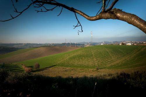 Bed & Breakfast Belvedere Baiocco