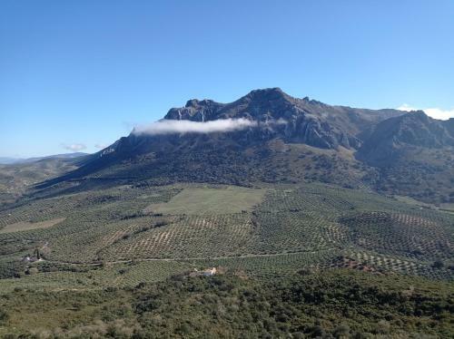 La Cordobesa