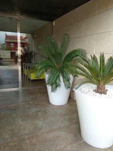 Apartamentos Dezamar Playa