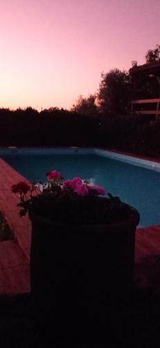 Acogedora Caba�a Con Piscina