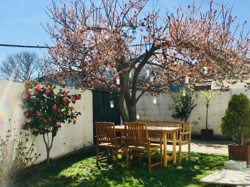 Hostal Eden Garden B&B