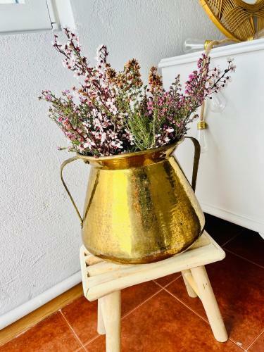 Hostal Eden Garden B&B
