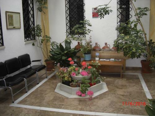 Apartamento Chez Rose Et Patrick