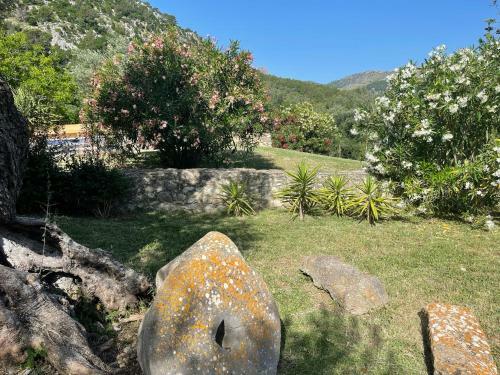Villa Can Guillo Pollensa