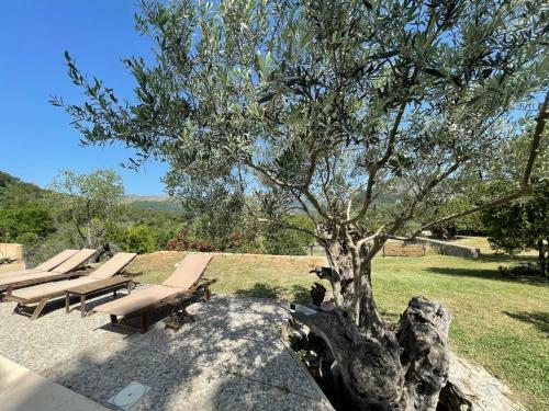 Villa Can Guillo Pollensa