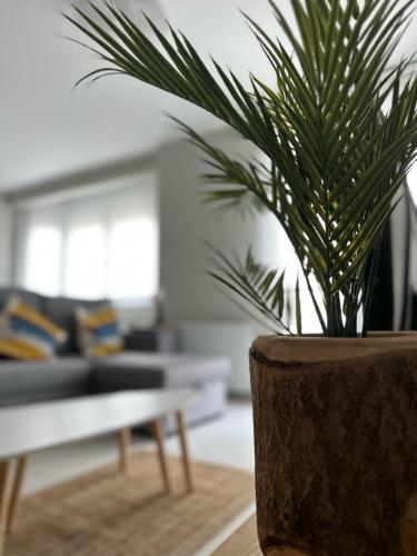 Apartamento Plentzia, Junto Al Puerto (Garaje Opcional)