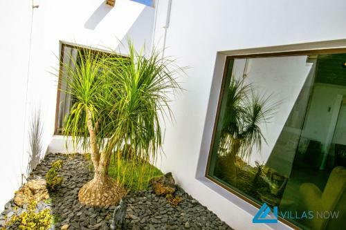 222 - Villa Noches de Luna By Villas Now Ltd