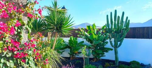 Villa Fedelian 2 Playa Blanca