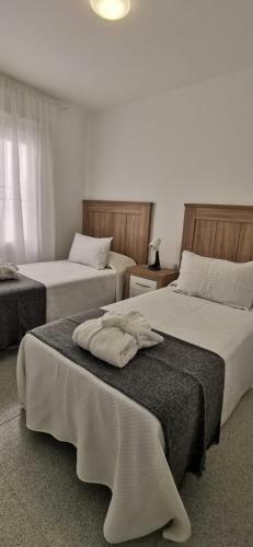 Villas New Lanzasuites Plus