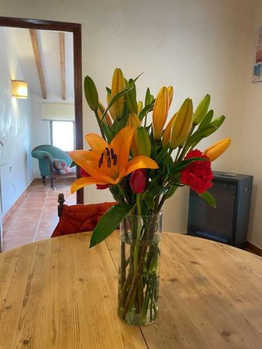 Apartamento The Loft Pinoso