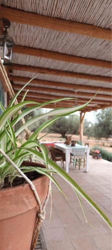 Apartamento La Cuadra de Finca Don Carmelo