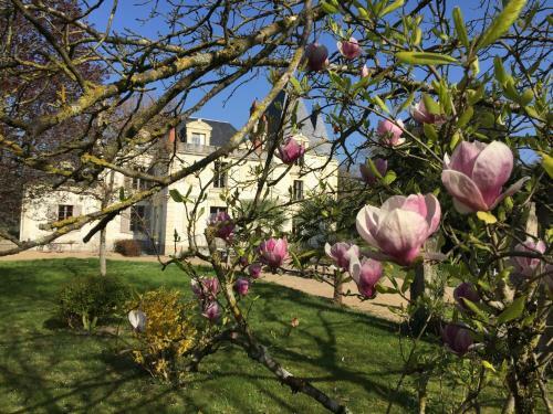 Hostal Ch�teau De La Coutanci�re
