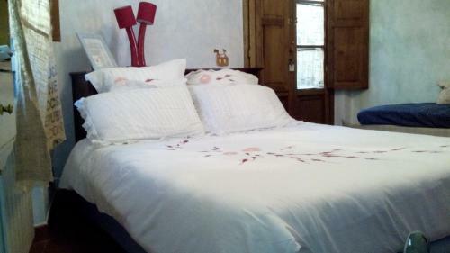B&B Case Campetti
